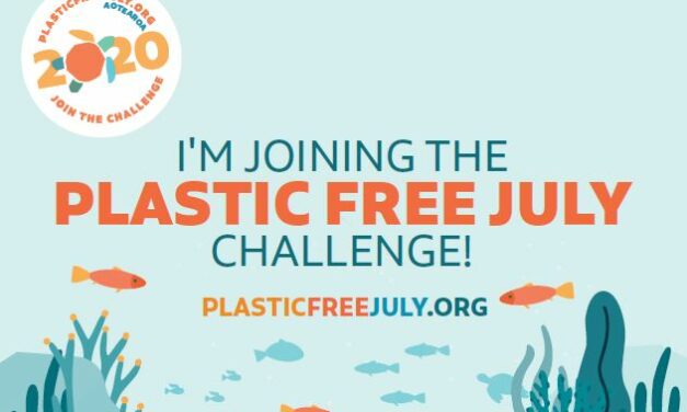 Plastic Free July Challenge 2020